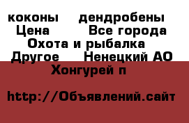 коконы    дендробены › Цена ­ 25 - Все города Охота и рыбалка » Другое   . Ненецкий АО,Хонгурей п.